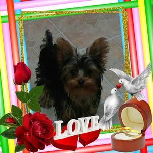 Meet your Posher, Kathy